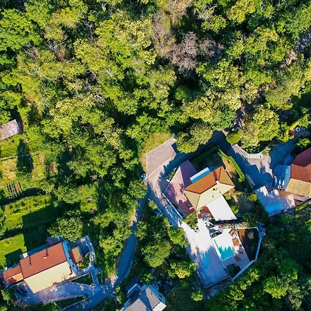 - Sambije With Swimming Pool, - Opatija דירה